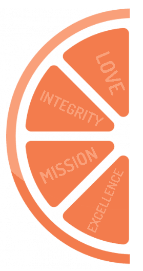 Your Painting Company core values
